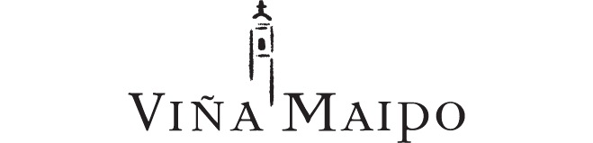 Concha y Toro México