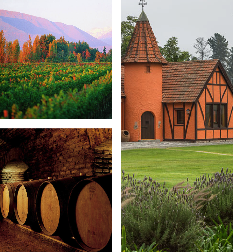 Concha y Toro México