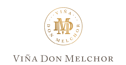 Concha y Toro México